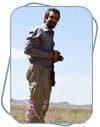 مرگ پایان کبوتر نیست
