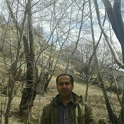 آثار هنری باید در سبد فرهنگی خانوار قرار داشته باشند