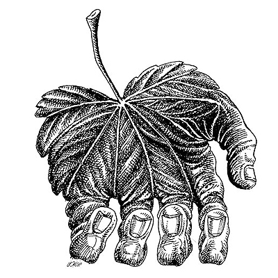 مجموعه ای از آثار کاریکاتور محسن نوری نجفی