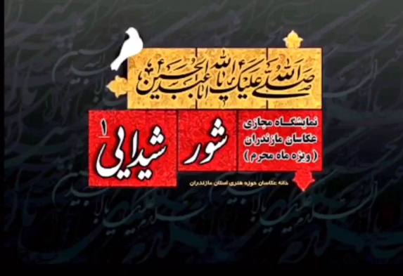 سری نخست نمایشگاه  عکس « شور شیدایی» در فضای مجازی